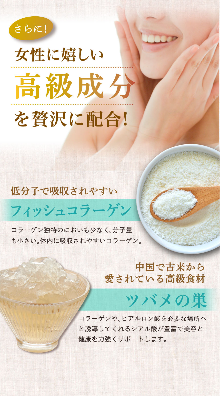 みしゅらんぼーや様購入専用 しまのやオンラインショップ