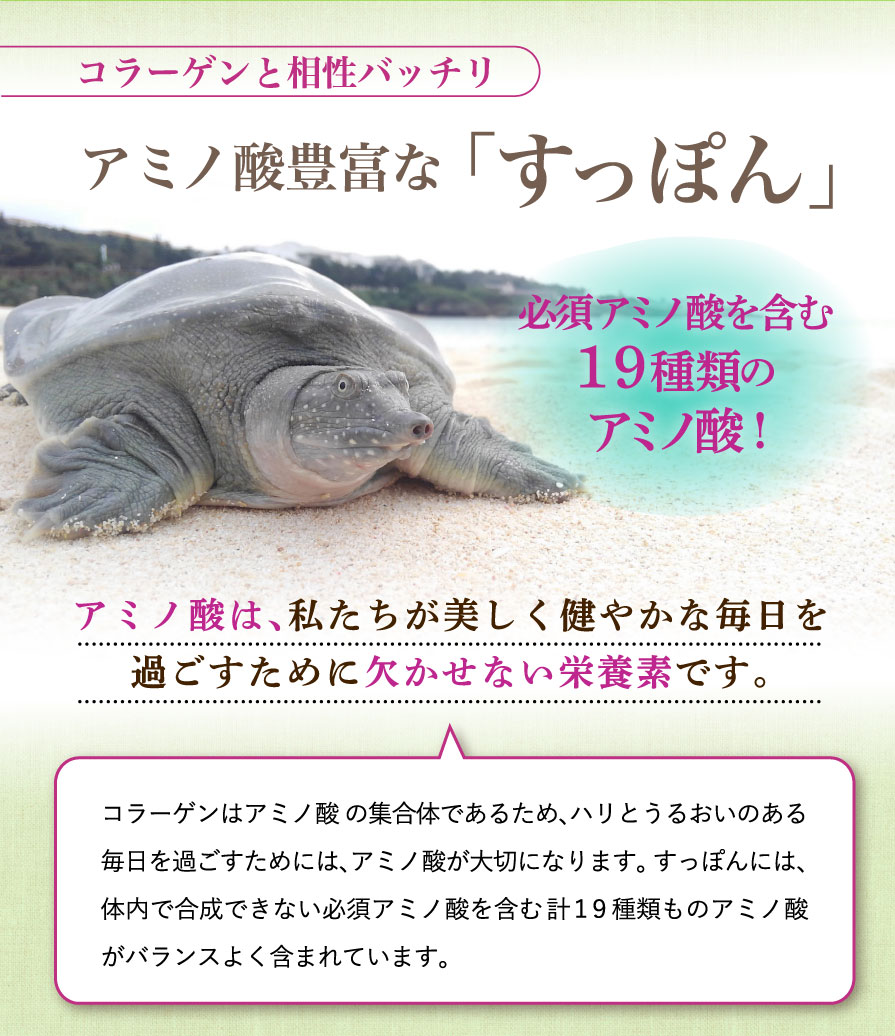 しまのやオンラインショップ