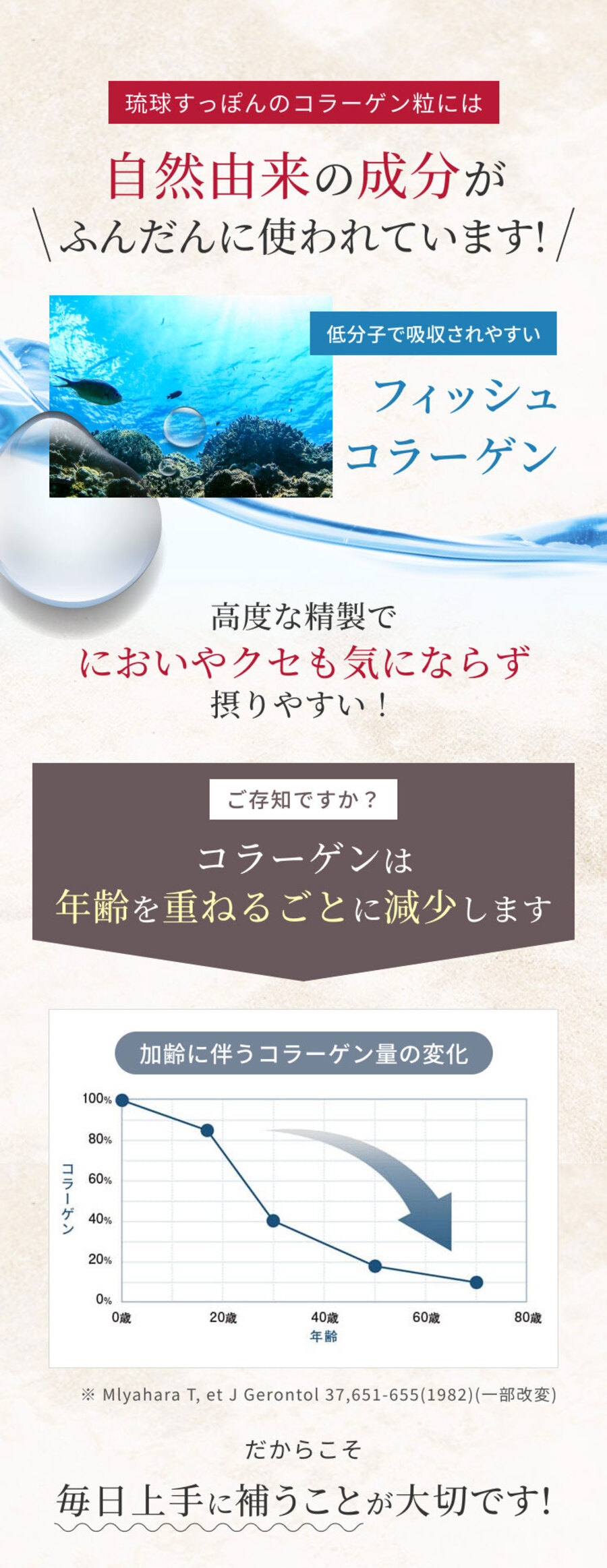 しまのやオンラインショップ 商品詳細