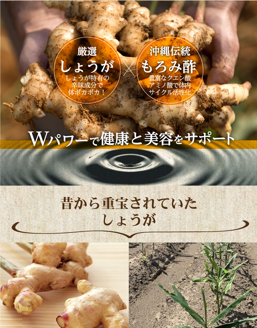 しまのやオンラインショップ 商品詳細