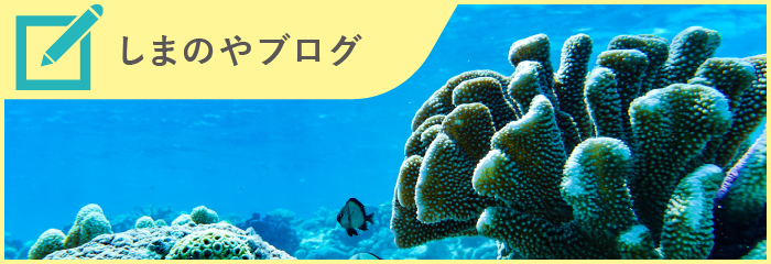 しまのやブログ